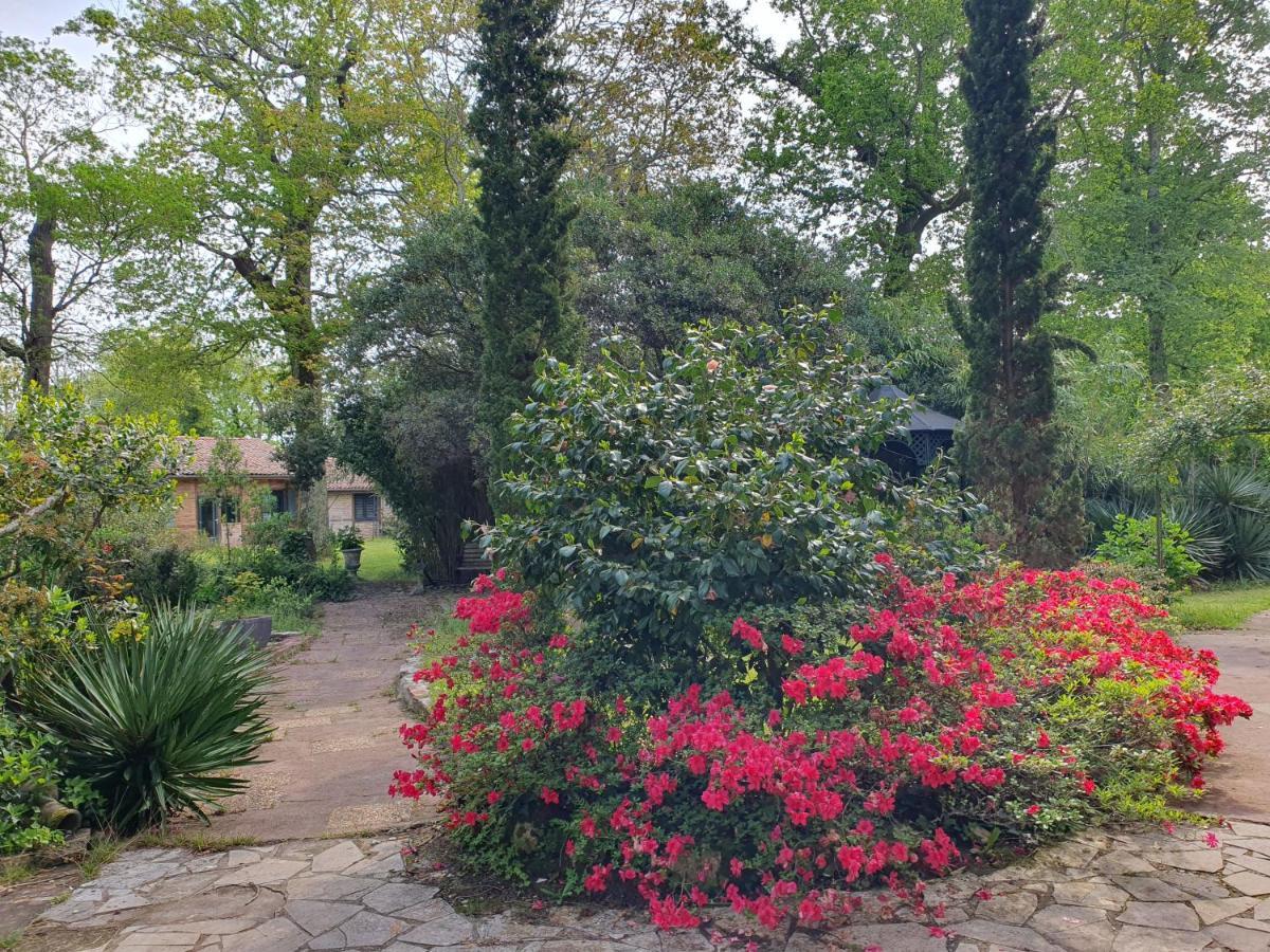 Manoir De Tireveste Lesperon  Zewnętrze zdjęcie