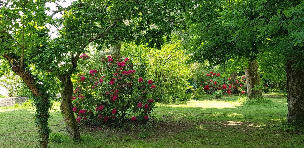 Manoir De Tireveste Lesperon  Zewnętrze zdjęcie